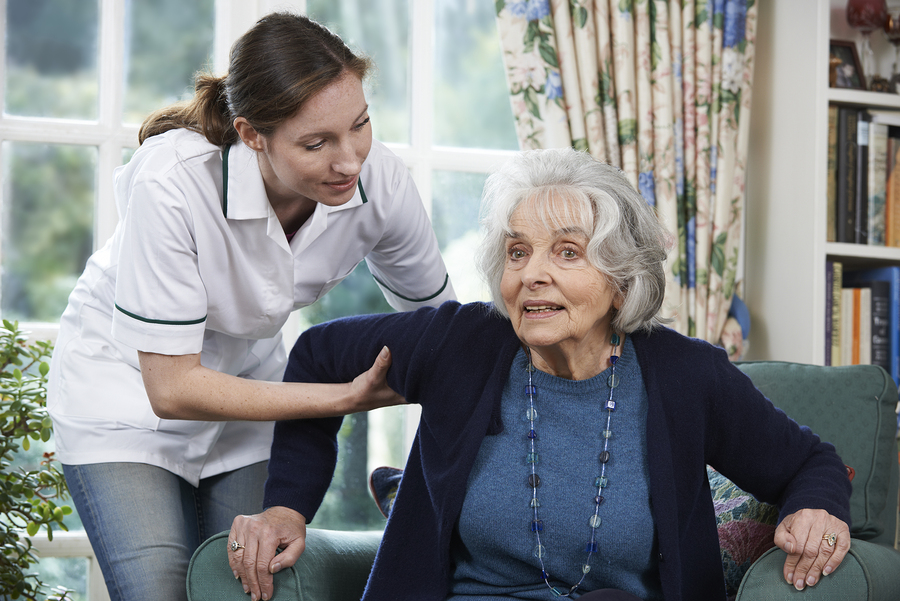 Hospice Care Services