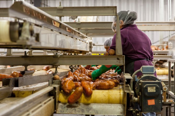 Factors to Consider Before Starting a Food Business in San Diego