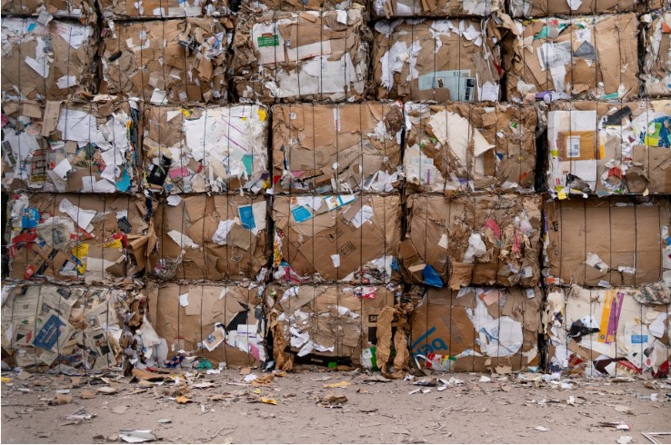 How to Select a Reliable Waste Removal Company in San Diego