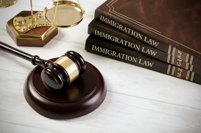 immigration lawyer