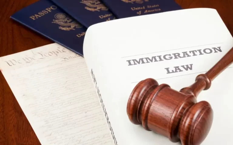 Immigration Law vs. Federal Authority