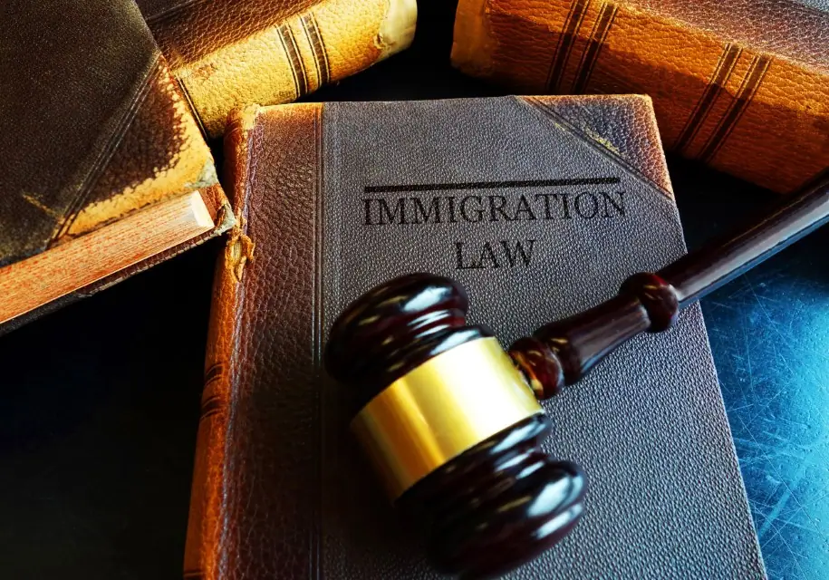 immigration and criminal lawyer